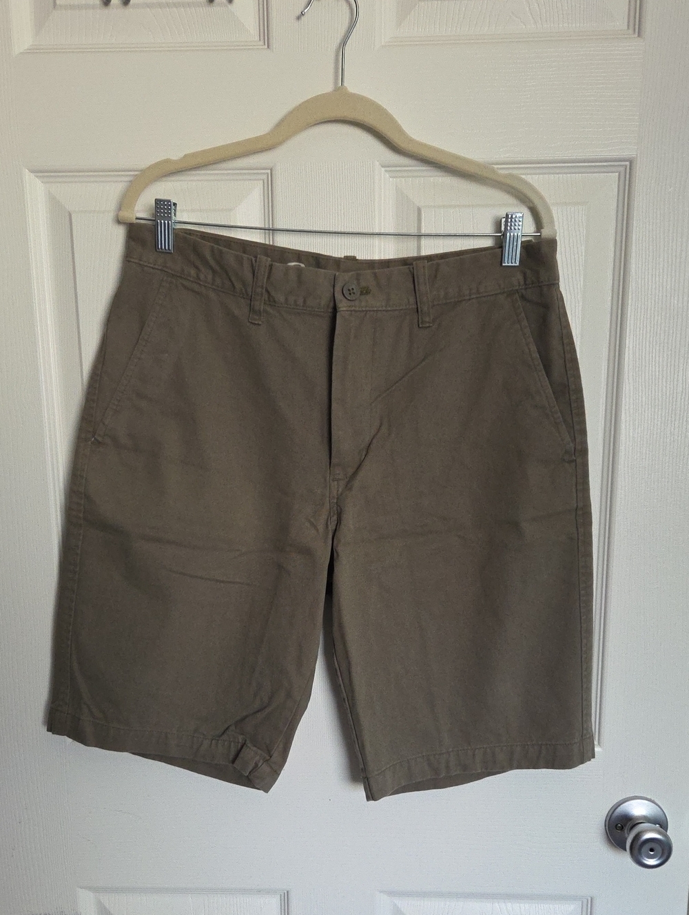 Eddie Bauer Men's Flat-Front Shorts in Olive Brown